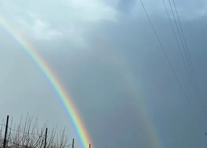 Alloggio per agriturismo Il Giardino Di Efesto Biancavilla